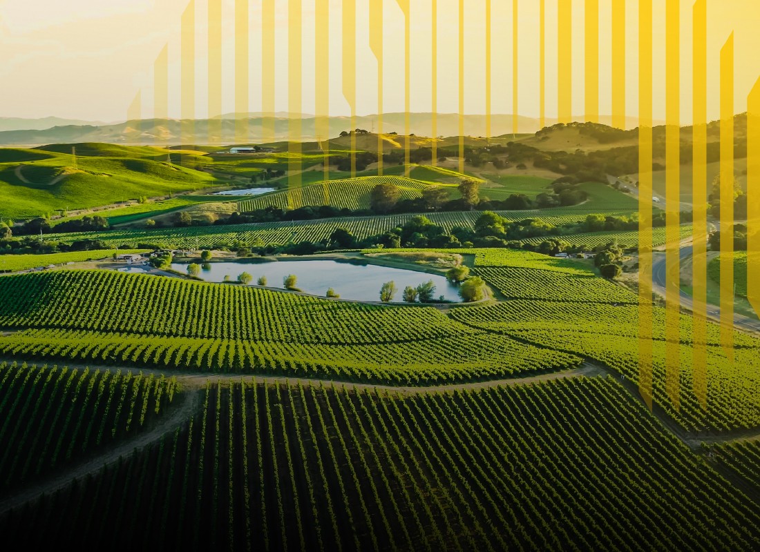 Costa Group Enhances Efficiency with Unified Network Security