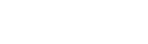 Palo Alto Networks Logo