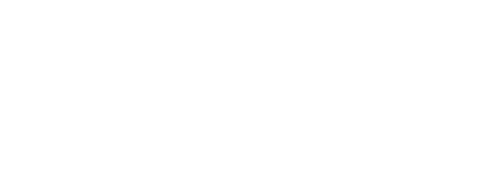 Palo Alto Networks Logo